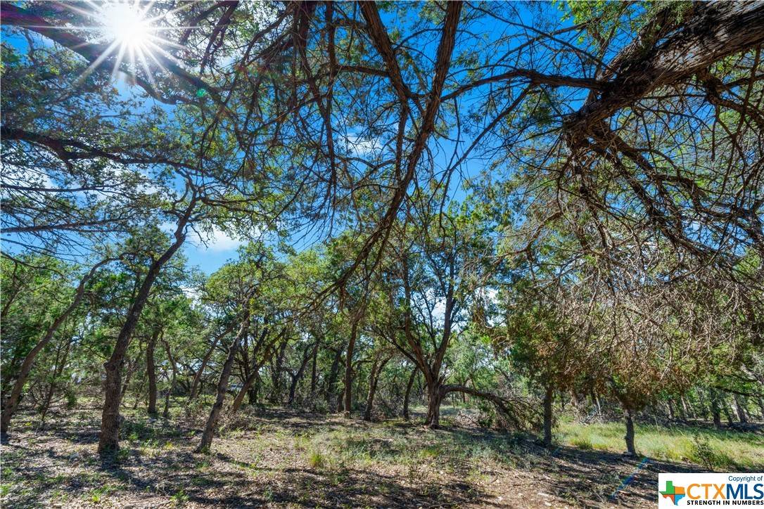 Bulverde, TX 78163,34720 Ansley Ridge TRL