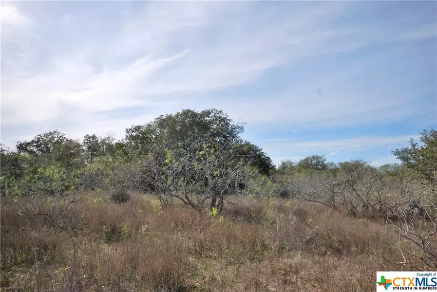 3572 County Rd 397, Moulton, TX 77975