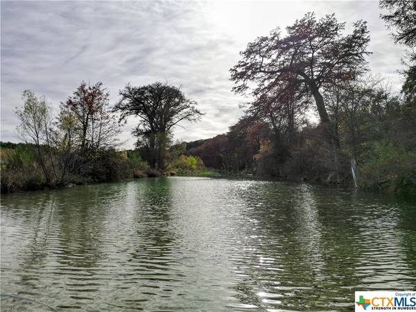 1572 River Bluff CIR,  Other,  TX 78063