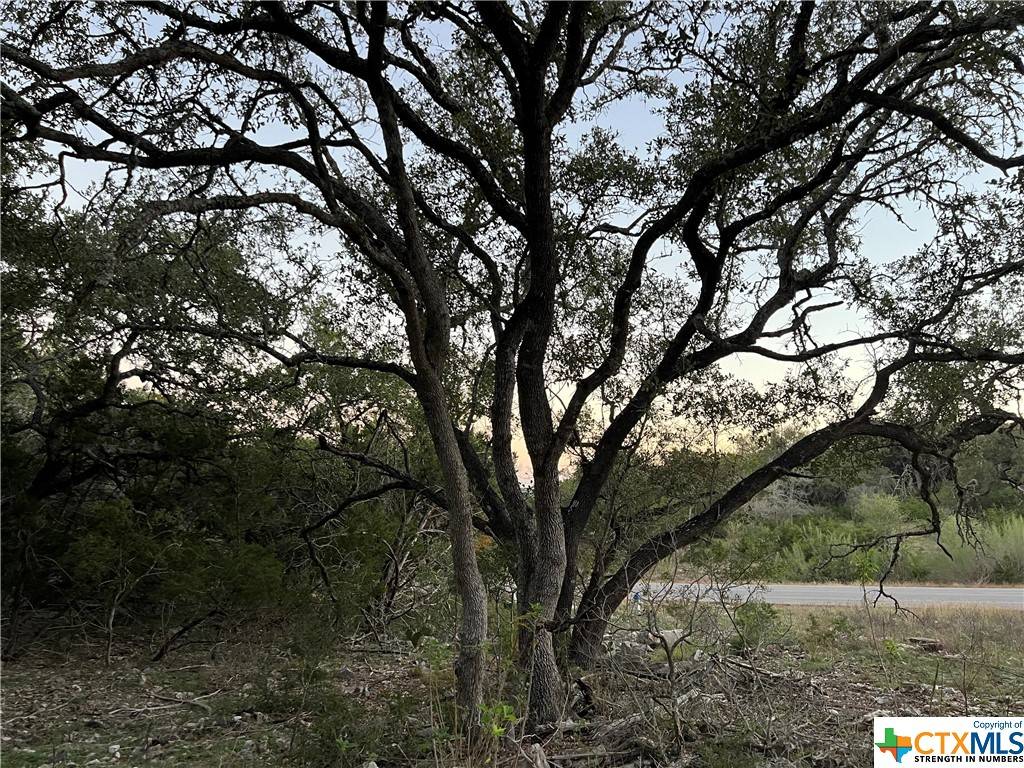 New Braunfels, TX 78132,241 Longwood