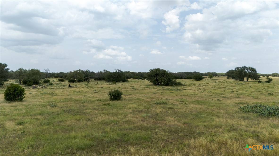 Lampasas, TX 76550,236 Blackbuck Ridge DR