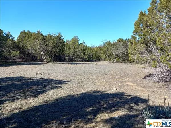 Purmela, TX 76566,Tract 2 CR 102