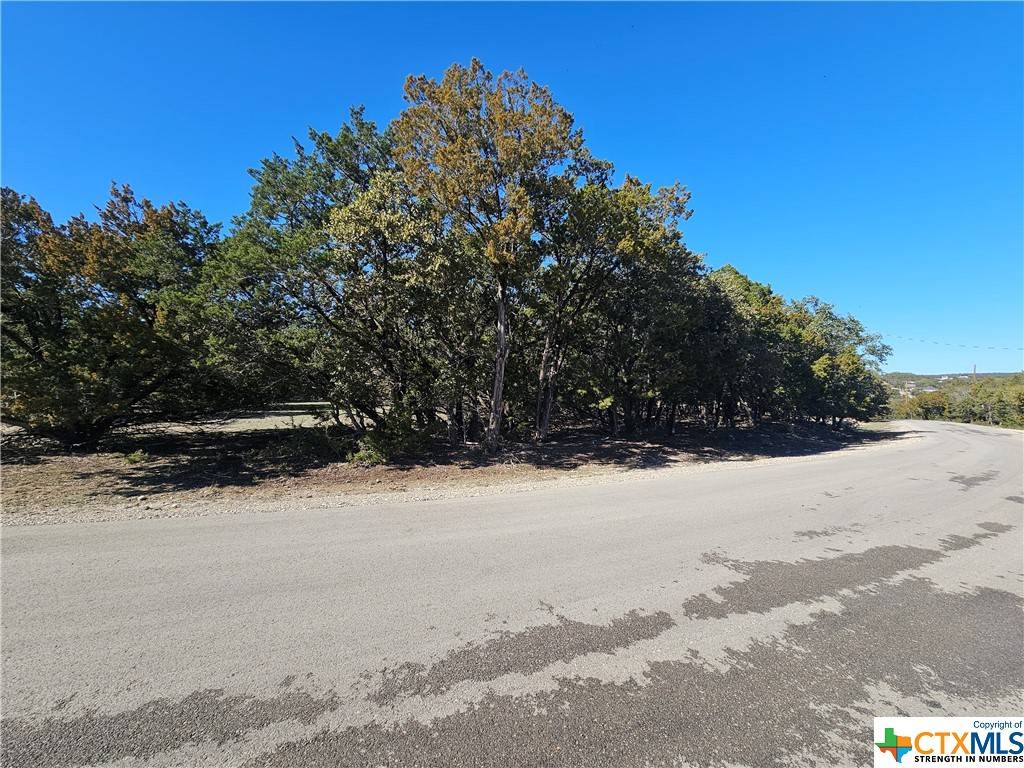 Canyon Lake, TX 78133,1394 Pecan CIR