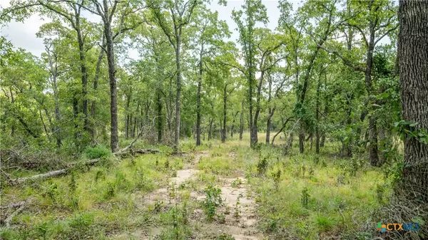 Buckholts, TX 76518,418-d County Road 405