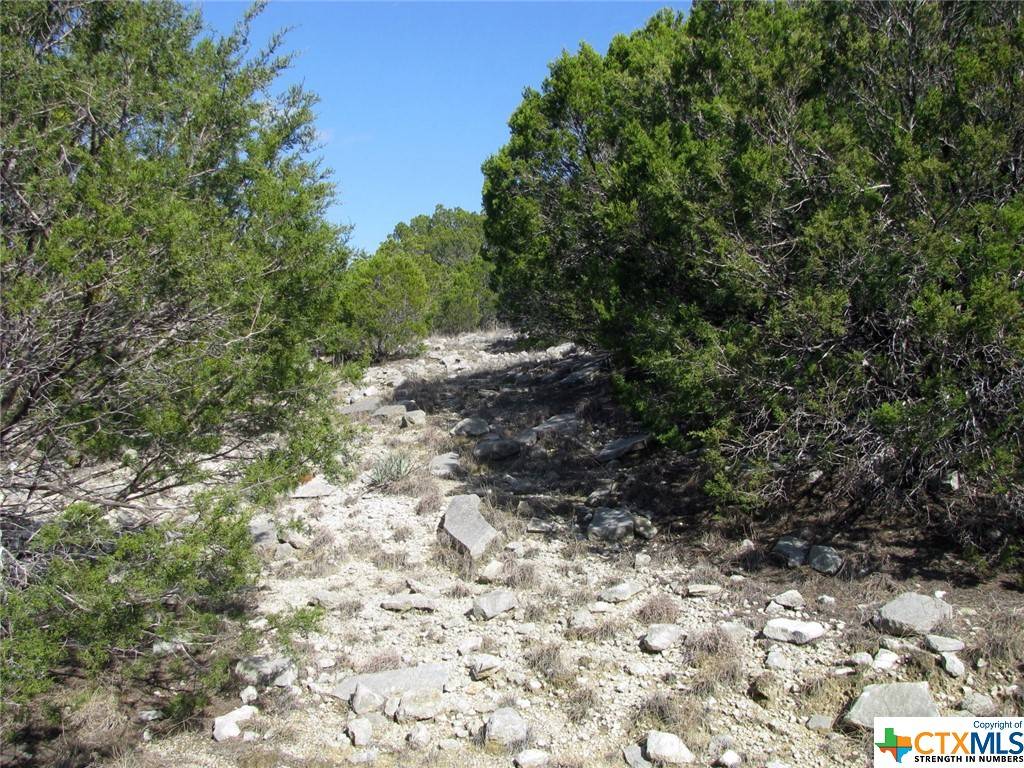 Evant, TX 76525,Lot 42 Ph 4 PR 42129