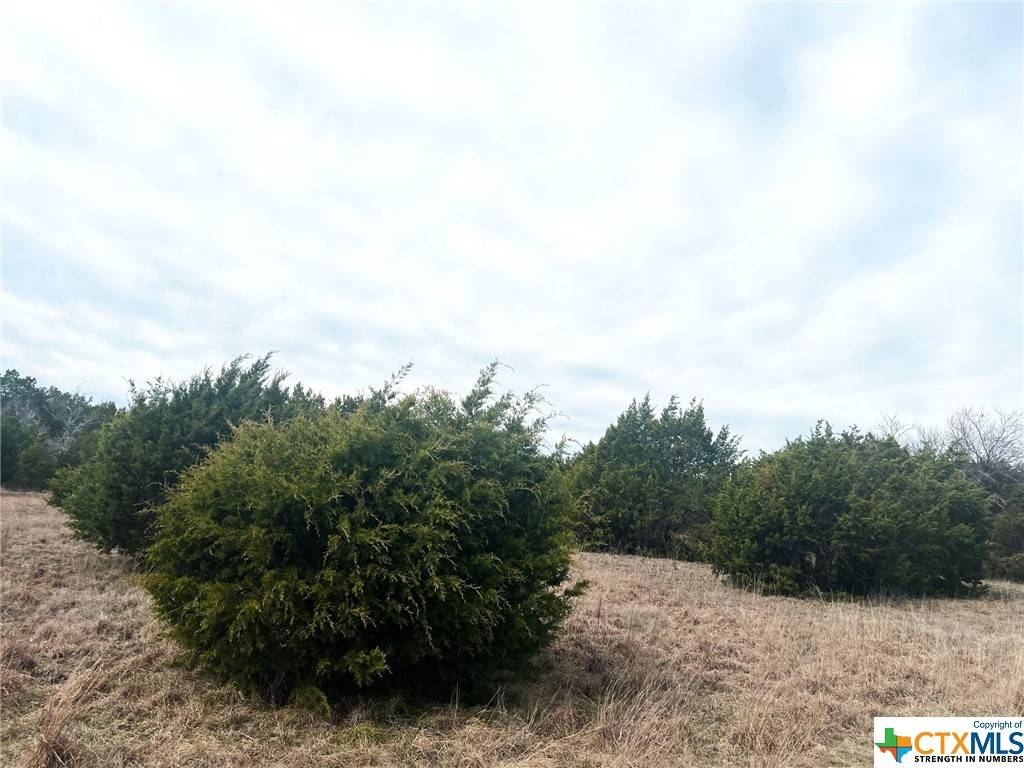 Kempner, TX 76539,25 Acres Private Road 3359