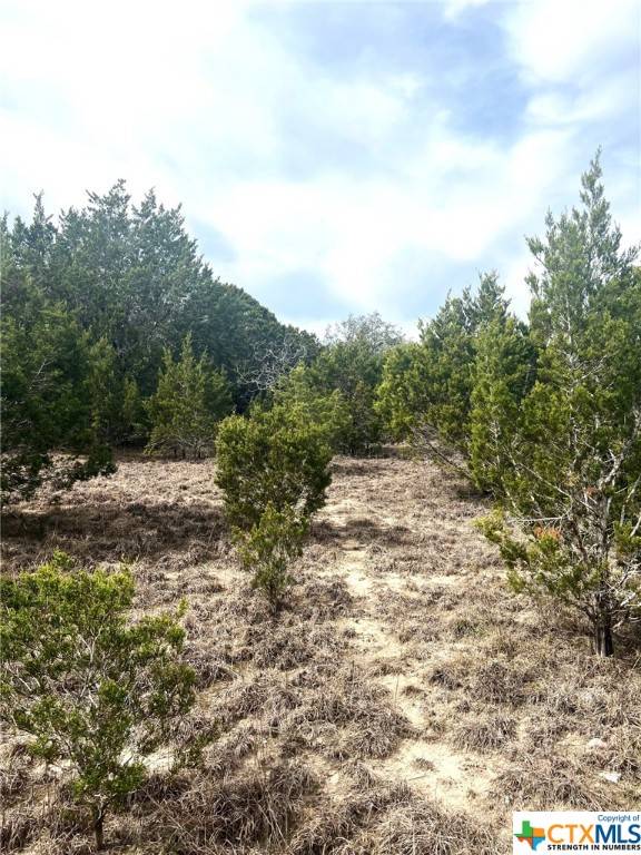 Kempner, TX 76539,25 Acres Private Road 3359