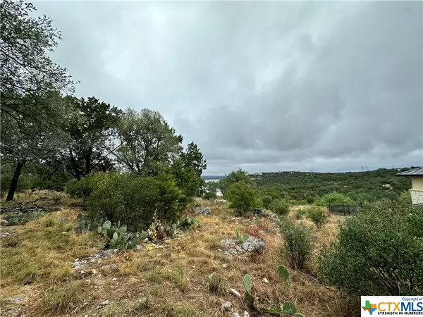 Horseshoe Bay, TX 78657,820 Mountain Dew