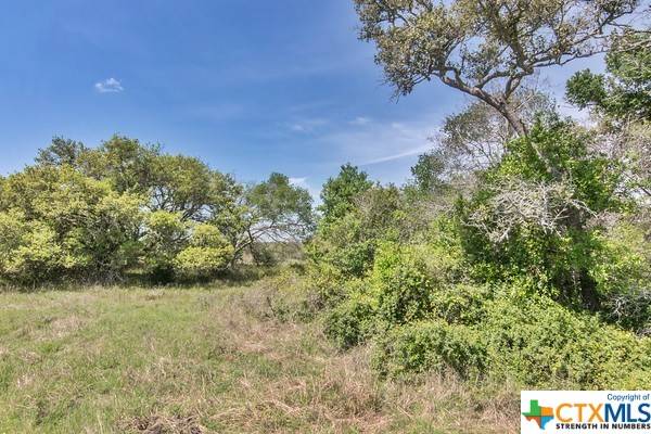 Edna, TX 77957,Tract 1 Fm 530