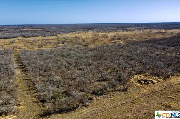 Goliad, TX 77963,TBD Fannin - Tract A