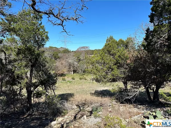 Salado, TX 76571,9860 Hodge Canyon DR