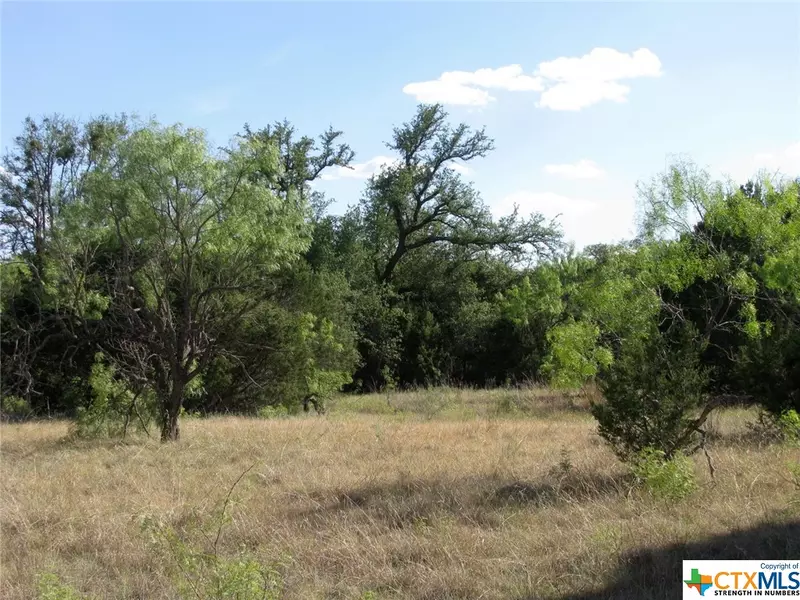 Lot 20 Ph 4 Pr 42126, Evant, TX 76525