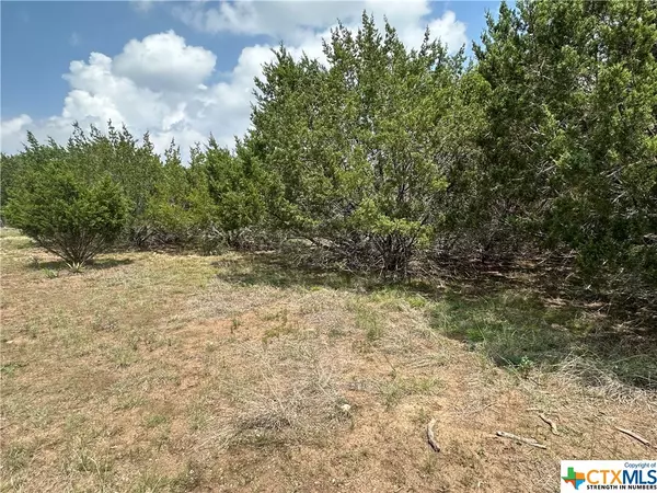 Harker Heights, TX 76548,1600 Pueblo TRCE