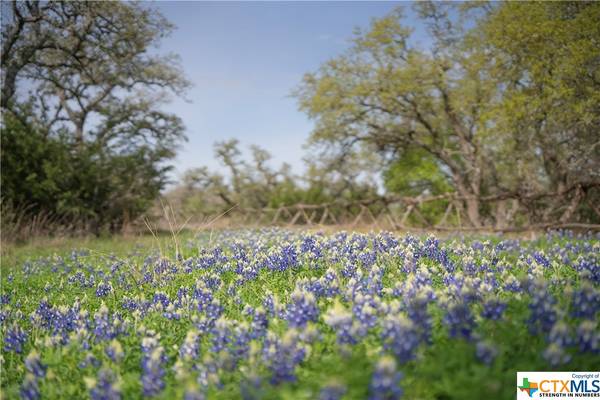 Dripping Springs, TX 78620,TBD Bell Springs RD