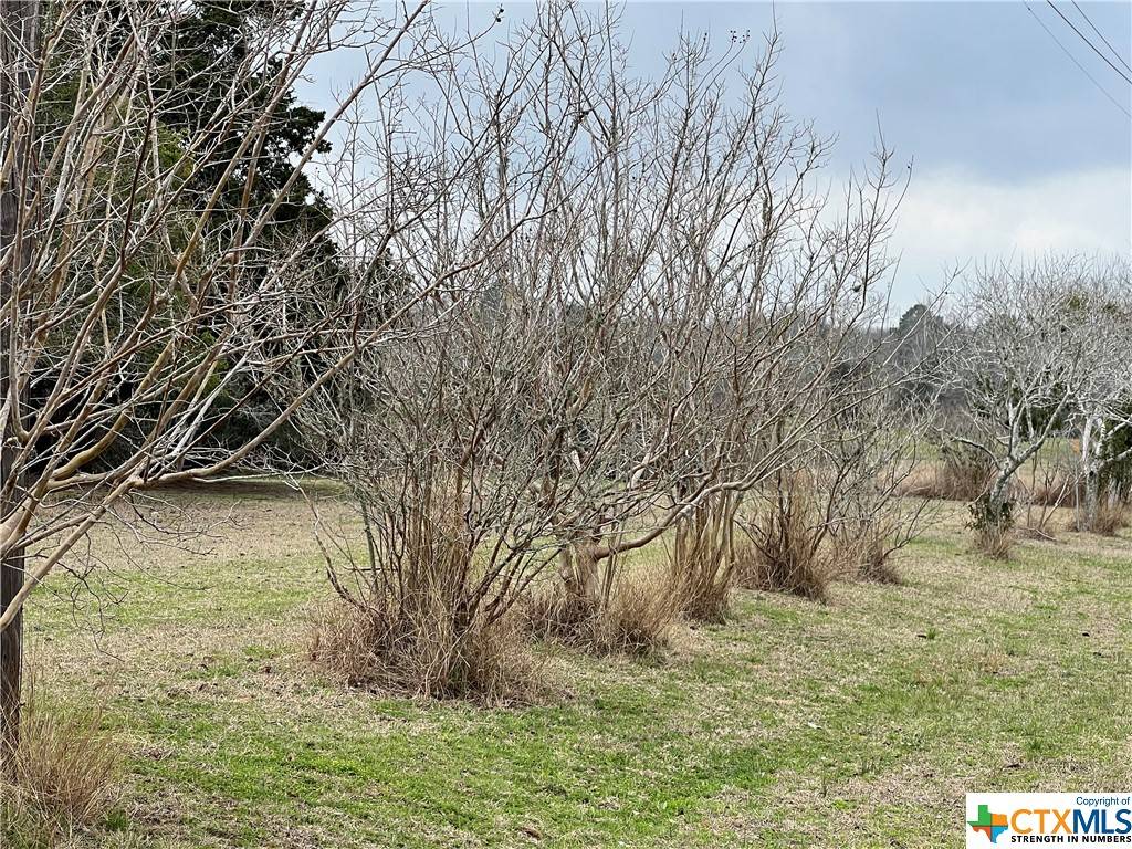 Yoakum, TX 77995,TBD US Hwy 77A South #A