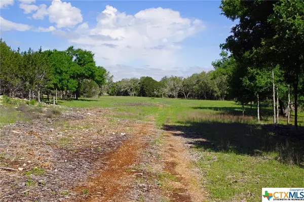 Briggs, TX 78608,Lot 48 Bridget CT