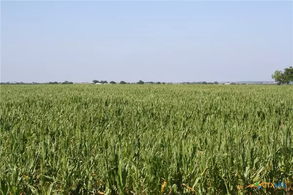 Troy, TX 76579,TBD Arthur Cemetery Road