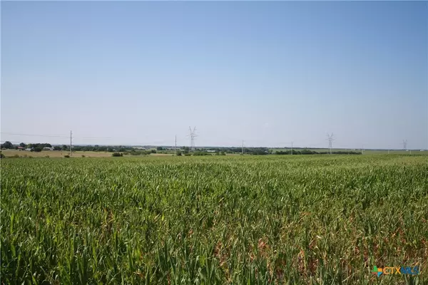 Troy, TX 76579,TBD Arthur Cemetery Road