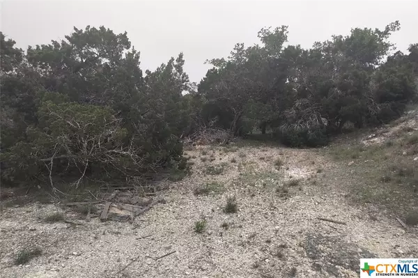 Canyon Lake, TX 78133,259 VALLEY RIDGE