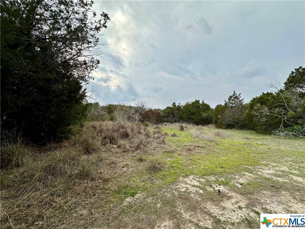 235 Canyon Springs DR, Canyon Lake, TX 78133