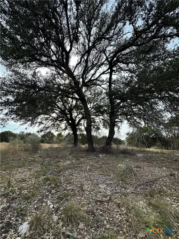 Lampasas, TX 76550,TBD PR 1377