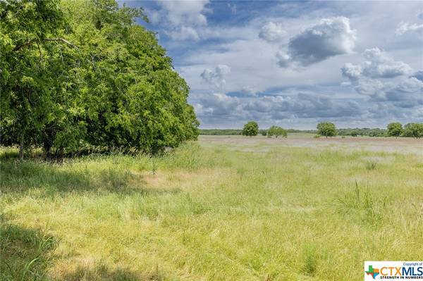 TBD Goodwin RD, Gonzales, TX 78629