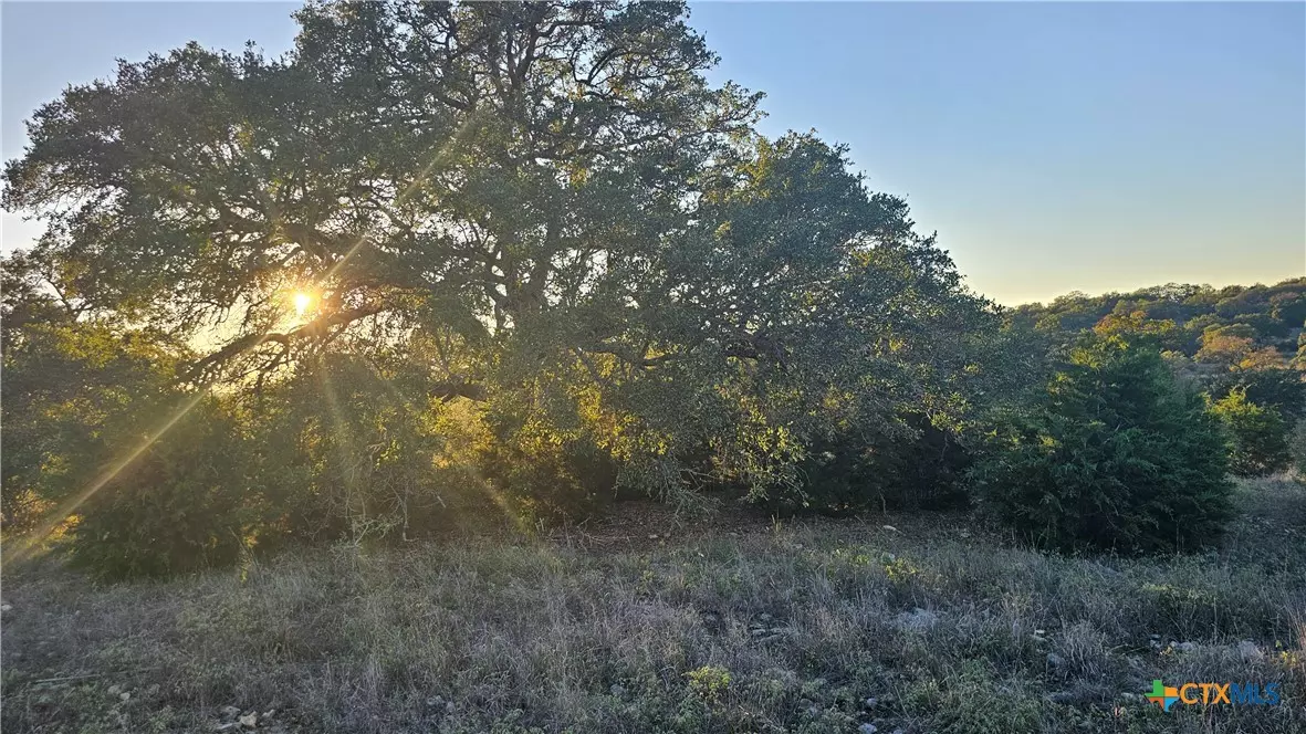 New Braunfels, TX 78132,5942 Colin RDG