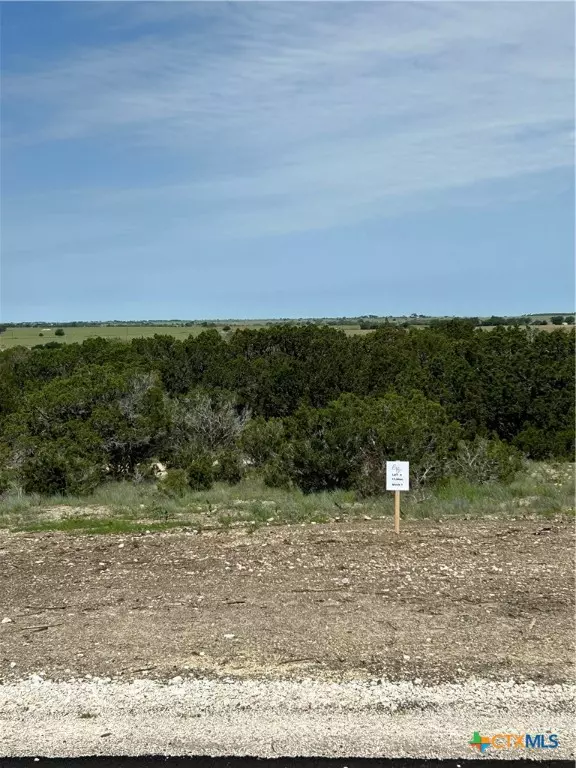 125 Cedar Bluff Loop, Gatesville, TX 76528