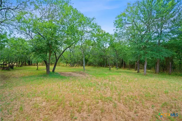 Cedar Creek, TX 78612,121 Wyers PL