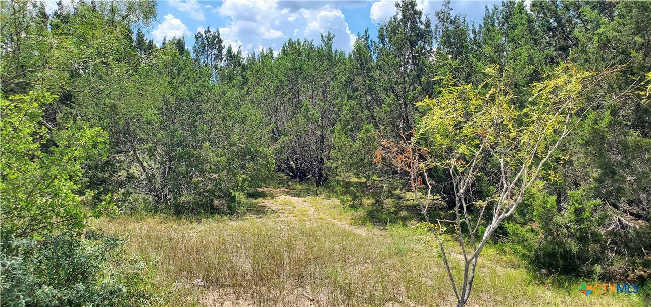 Lampasas, TX 76550,Lot 8 Homestead DR