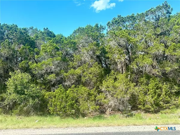 New Braunfels, TX 78132,4005 Summit Hurst