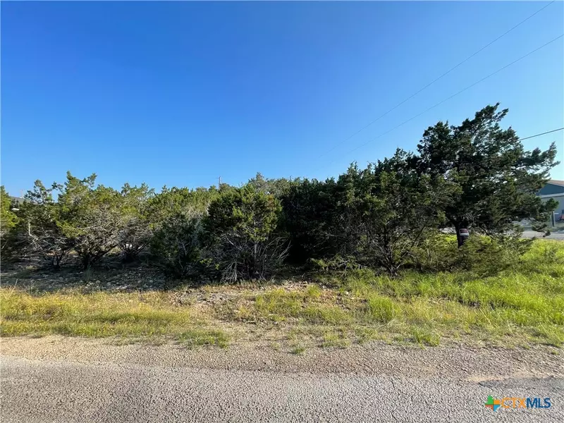 320 Ridgewood TRL, Canyon Lake, TX 78133