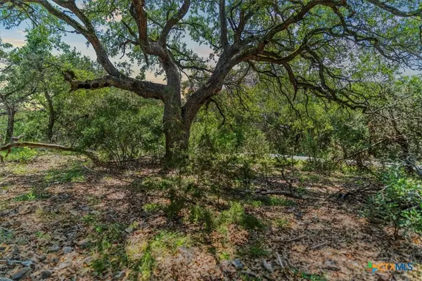Wimberley, TX 78676,1001 Bluff View RD