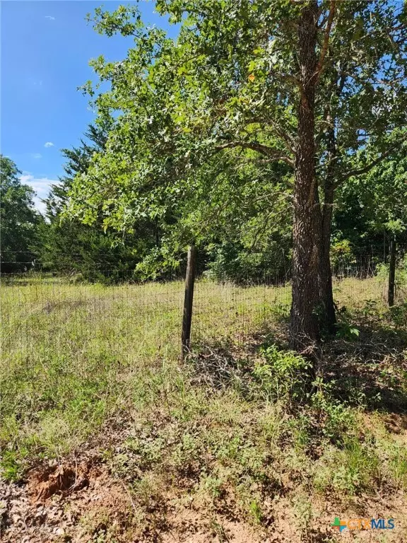 Bastrop, TX 78602,TBD Flaming Oak Drive