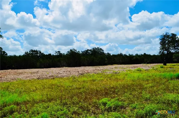 Bertram, TX 78605,Lot 16 Riparian Elm RD