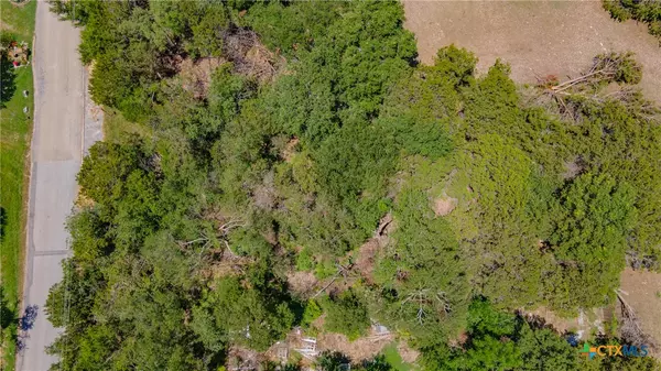 Belton, TX 76513,145 Woodland Point RD