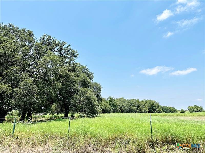 Deer Haven Tract 1 County Road 265, Gatesville, TX 76528