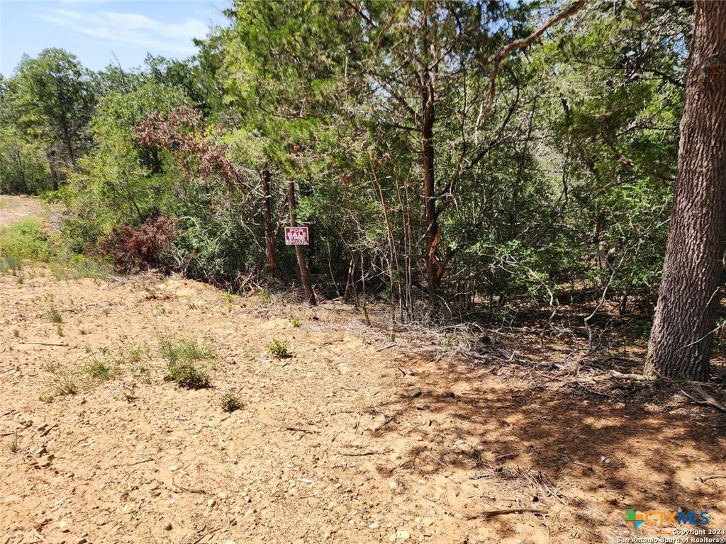 Bastrop, TX 78602,Lot 310 Kalihi Court