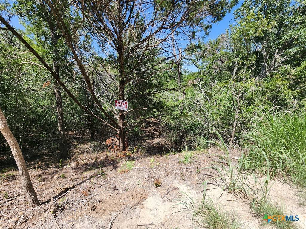 240 Iva LN, Bastrop, TX 78602