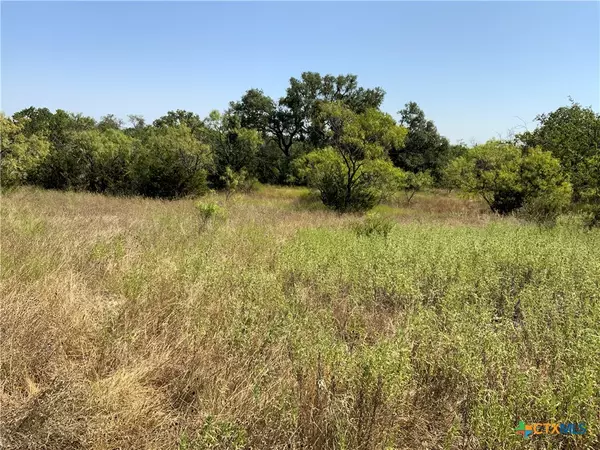 1133 CR 175, Comanche, TX 76474