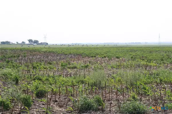 Bartlett, TX 76511,TBD Gooseneck RD #2