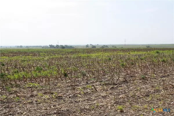 Bartlett, TX 76511,TBD Gooseneck RD #4