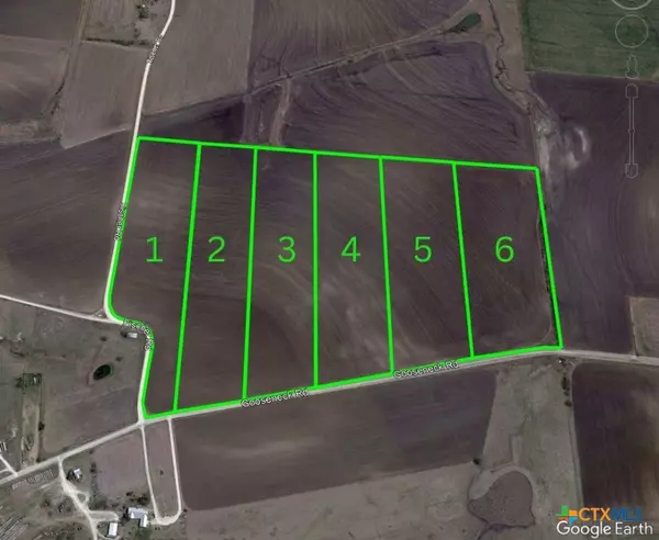 TBD Gooseneck RD #5, Bartlett, TX 76511