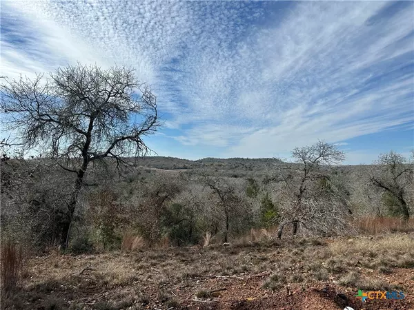 Harwood, TX 78632,TBD Sandy Fork RD