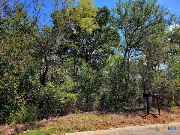 tbd Dale LN, Dale, TX 78616