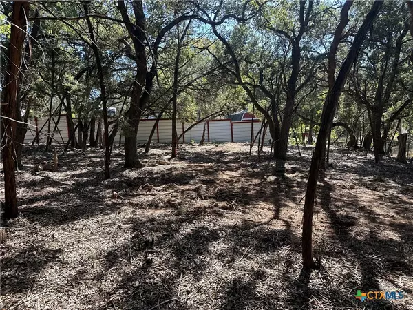 Canyon Lake, TX 78133,672 Burr Oak LN