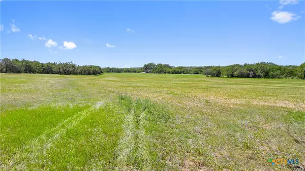 Johnson City, TX 78636,1422-3 Ranch to Market Road 2766