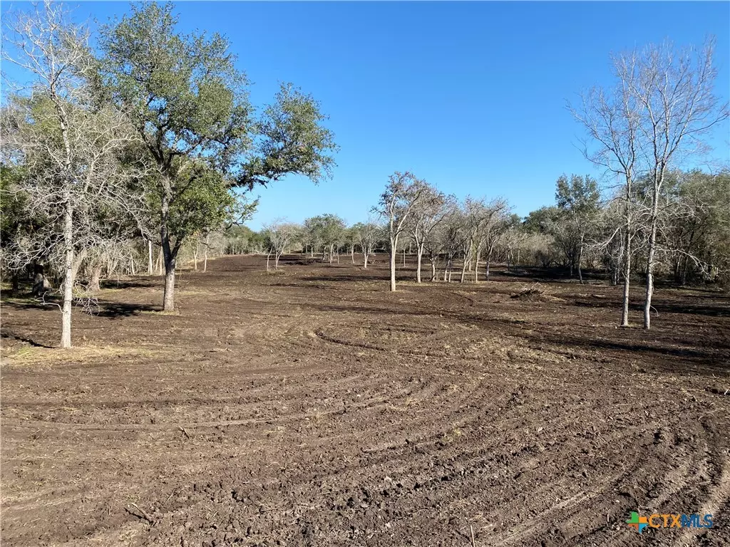 Goliad, TX 77963,TBD FM 1351