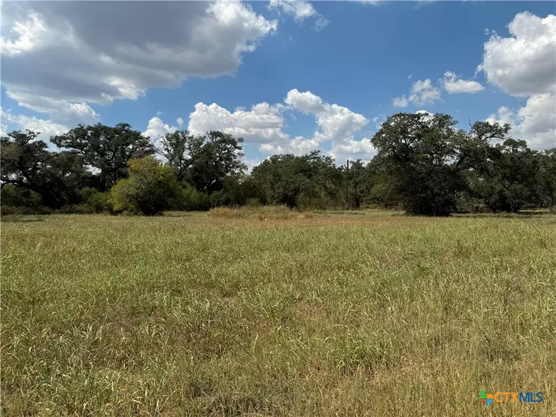 Lots 1-5 Burt ST, Yoakum, TX 77995