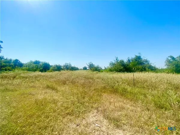 Inez, TX 77968,000 Sydnie Ranch RD